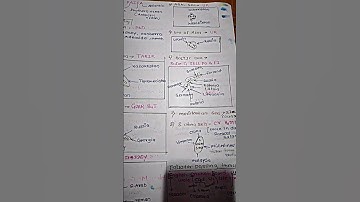 Funny tricks to remember All sea ,ocean in world🧠 ||handwritten notes| competitive exam#tricks#ocean