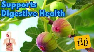 Benefits Of Figs Herbal Solutions Natural Treatments