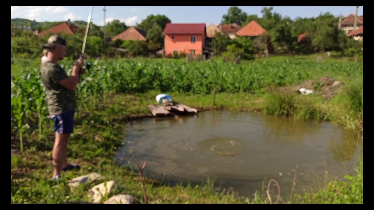Crap la pluta Pescuit in balta din gradina YouTube