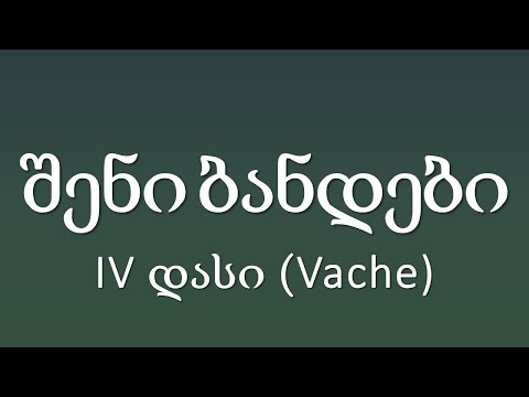 IV დასი (Vache) - შენი ბანდები/Sheni Bandebi (ტექსტი Lyrics)