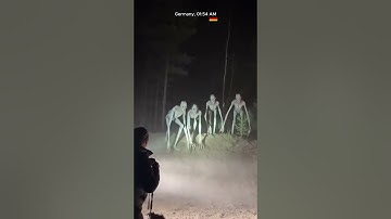 Blasse Wesen erschienen am Waldhang und bewegten sich leise nach unten.