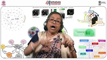 Metabolic modelling: FBA and MCA approaches