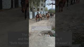 💕#trendingshorts#viralvideo#donkey#workingwife#kashmirvalley#tourism#mountains#travelvlog#travelling