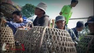 PASAR BURUNG JELOJOK LOMBOK TENGAH