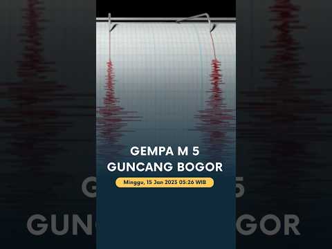 Gempa M 5 Guncang Bogor #shorts #gempa #bogor #bmkg