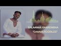 Galaanaa Gaaromsaa: Damma Roobilee NEW 2019 Oromo Music Mp3 Song