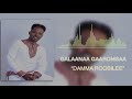 Galaanaa gaaromsaa damma roobilee new 2019 oromo music