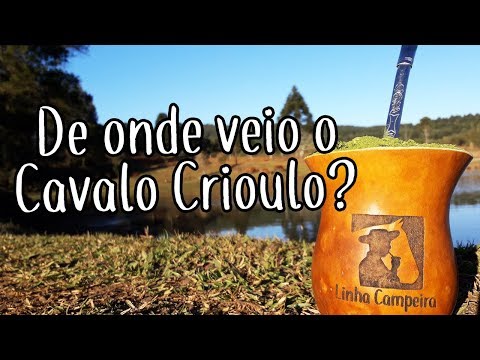 Vídeo: De onde vem o crioulo?