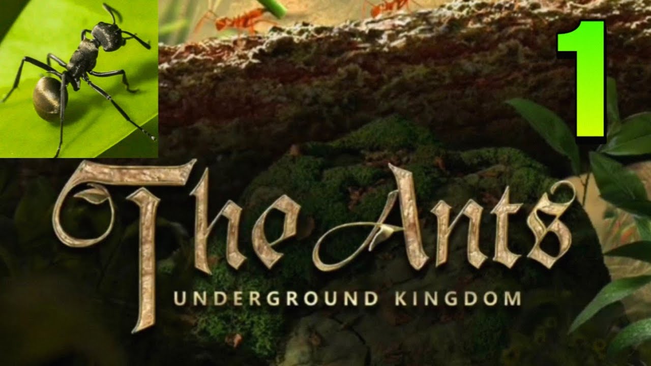 The Ants Underground Kingdom Full Gameplay Walkthrough YouTube