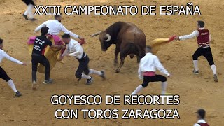 XXIII CAMPEONATO DE ESPAÑA GOYESCO DE RECORTES CON TOROS ZARAGOZA 2023