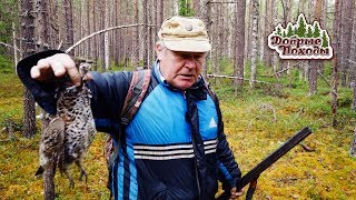 ОХОТА С БАТЯНЕЙ. ОН ДОБЫЛ РЯБЦА, А Я ГЛУХАРЯ. Добрые походы. ОХОТА С БАТЯНЕЙ. ОН ДОБЫЛ РЯБЦА, А Я ГЛУХАРЯ. Добрые походы.