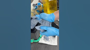 3d printing a resin blastoise!!!!     #pokemon #anycubic #blastoise