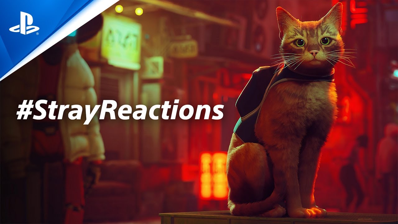 Reaction STRAY PS5 Jogo de Gato ! Fiquei emocionado - (Reação