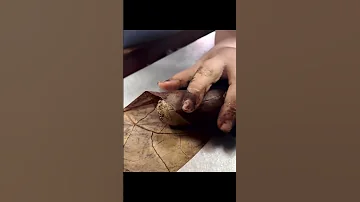 how cigars are made in a factory #shorts #youtubeshorts #viral2023