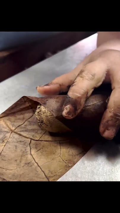 how cigars are made in a factory #shorts #youtubeshorts #viral2023
