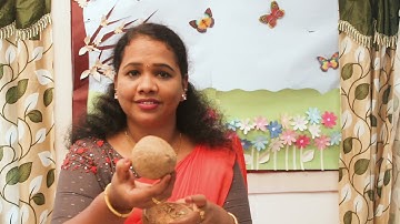 Std 4 EVS Unit 2 Class 07  White Board VI