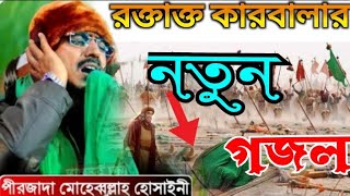 বাদশা ইয়া হোসেন নতুন গজল॥পীরজাদা মোহেব্বুল্লাহ হোসাইন॥Pirzada mohibullah Hussain New Gojol॥