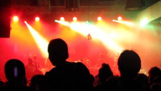 Käptn Peng &amp; die Tentakel von Delphi - Monster (Live in Leipzig 2014)