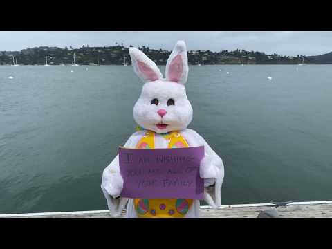 Sausalito Yacht Club Easter Bunny 2020