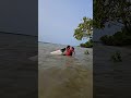 catch a big fish by castnet enjoy this videos. #shorts #fishing #fish #isshingvideo #villagelife