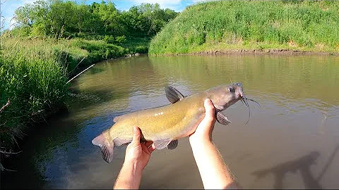 Catfishing Small Iowa Rivers with Diddy Poles
