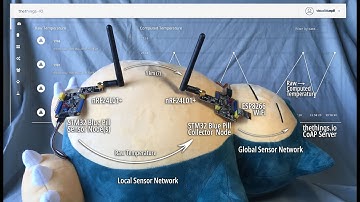 Mynewt Sensor Network with STM32 Blue Pill, nRF24L01, ESP8266 and thethings.io