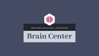 What is The Brain Center at Meadows Behavioral Healthcare