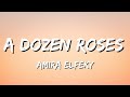 Amira Elfeky - A Dozen Roses (Lyrics)