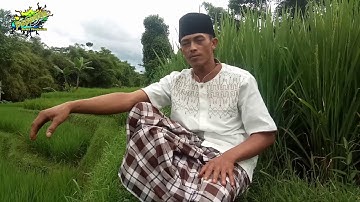 #Elingpabuburit #Ukohendarto #coversunda Eling Pabuburit (Cover Dodi) Cipt. Uko Hendarto
