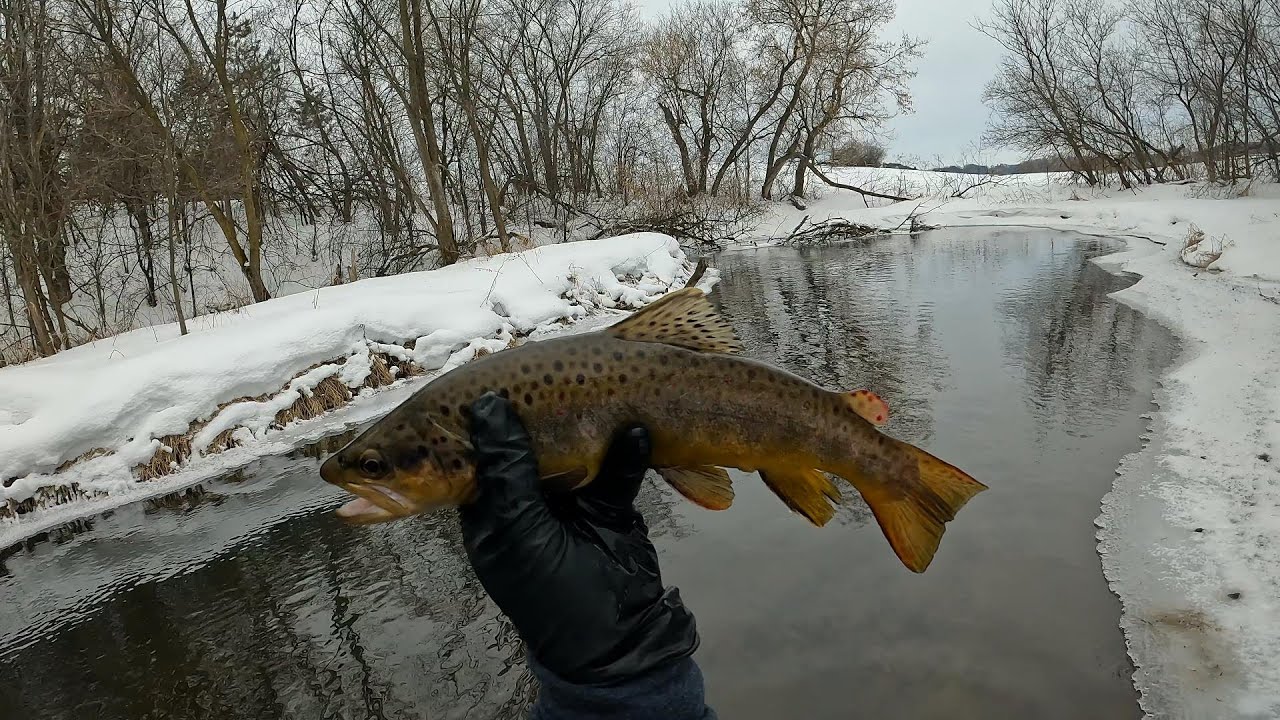 Wisconsin Trout Fishing 2/4/2023 YouTube
