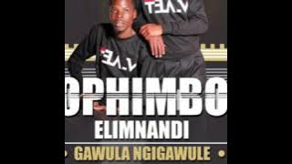 OPHIMBO ELIMNANDI  Single Track from 2019 ALBUM {Bhinca Lami)