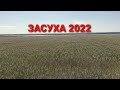 ЗАСУХА 2022 в Одесской области 27.05.2022