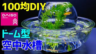 メダカの【ドーム型 空中水槽】作り方100均DIY! メダカ室内飼育 /卓上ビオトープ・アートアクアリウム作成/How to Make a Tabletop Amazing Idea Aquarium