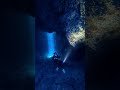 The Scariest Thing Discovered at the Bottom of Mariana Trench
