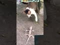 برص غلس بيفكرني ب 