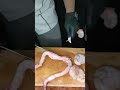 طاجن مخاصى وحلالى