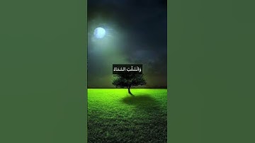 فَإِذَا نُفِخَ فِي الصُّورِ نَفْخَةٌ وَاحِدَةٌ❤️#حسن_الظن_بالله #اطمئنان #مع_القرآن #سورة_الحاقة