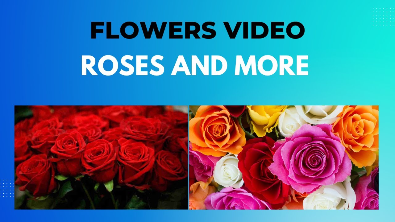 Beautiful Flowers Video YouTube