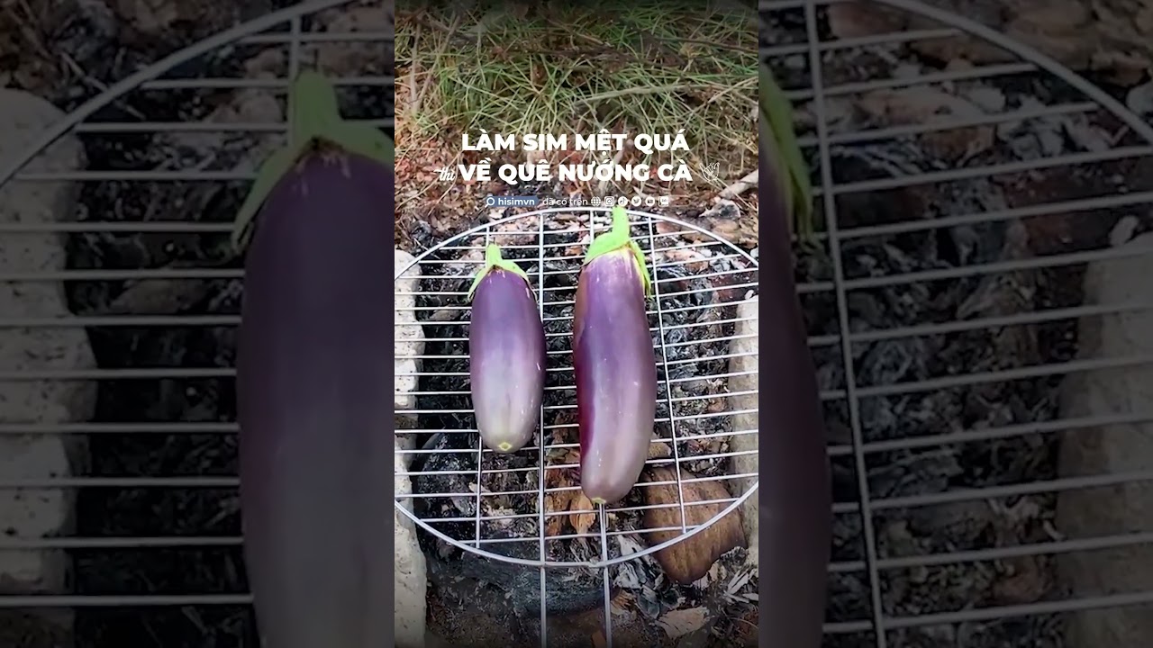 Video này có đến 99% là CHILL 