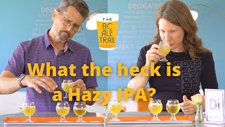 What Is A Hazy Ipa? Blind Taste Test With Category 12 Brewing
