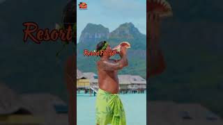 𝐋𝐄 𝐁𝐎𝐑𝐀 𝐁𝐎𝐑𝐀 𝐁𝐘 𝐏𝐄𝐀𝐑𝐋 𝐑𝐄𝐒𝐎𝐑𝐓𝐒