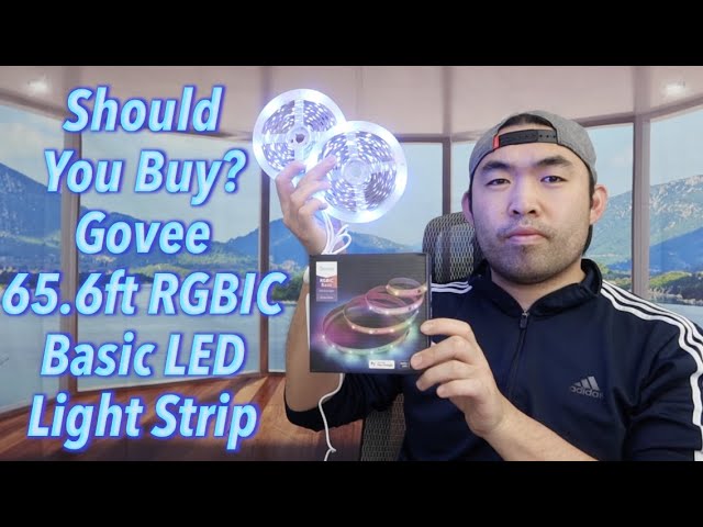 Govee RGBIC Basic LED Strip Lights