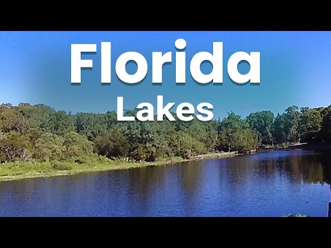 वीडियो: फ्लोरिडा में हनी लेक प्लांटेशन रिज़ॉर्ट एंड स्पा आउटडोर एडवेंचर्स को प्रोत्साहित करता है