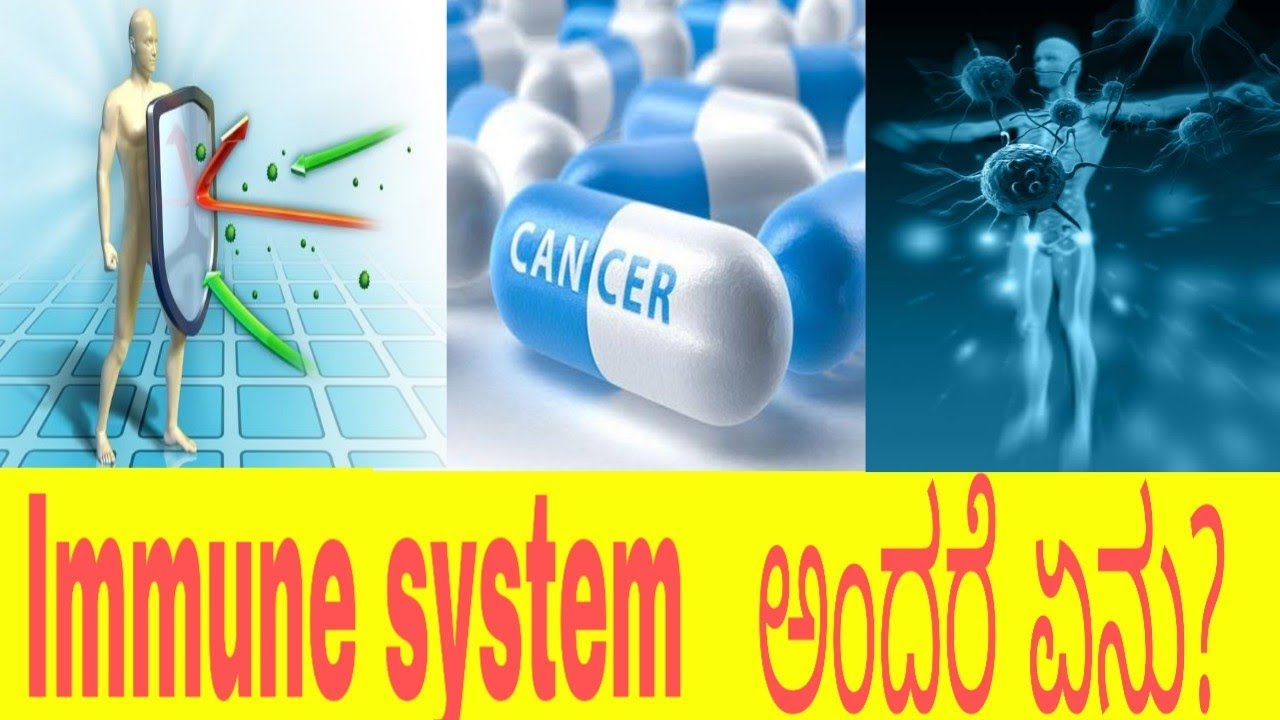 Immune system ಹೇಗೆ ನಮ್ಮನ್ನು ರಕ್ಷಿಸುತ್ತದೆ in Kannada. YouTube
