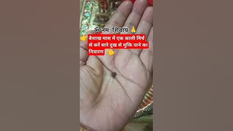 रोग से मुक्ति के लिए बैशाख महीने में करें एक काली मिर्च का उपाय #pradeepmishra #upay #shiv #shorts