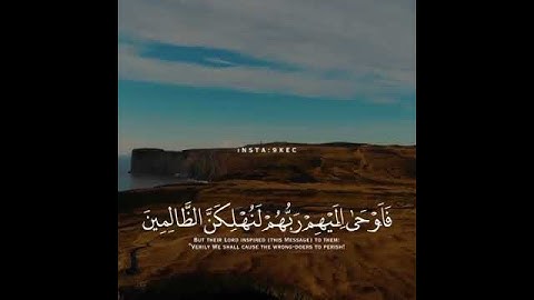 القرآن الكريم | آية قصيرة تريح القلب❤️