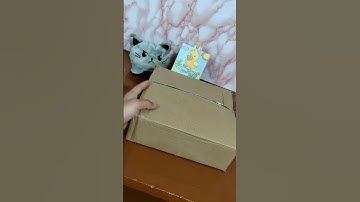 unboxing the  penguin 🐧 brush stand #love #music #youtube #unboxing