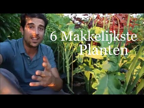 Video: Plante Wat Die Groentetuin En Tuin Beskerm