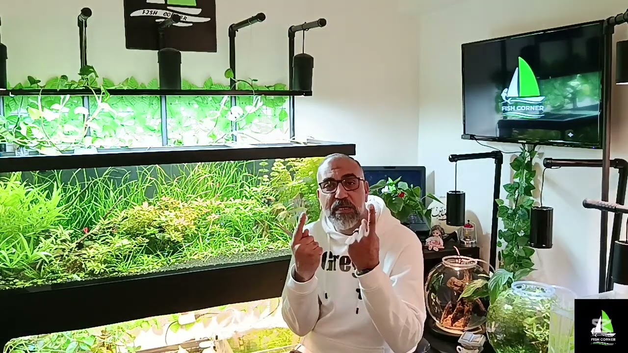 طريقه حساب الليومن في الأحواض المزروعه  طريقه حساب عدد لترات مياه و اختيار سخان وقوه الفلتره الاحواض