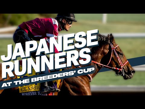2024 BREEDERS' CUP まとめセット sddefault.jpg
